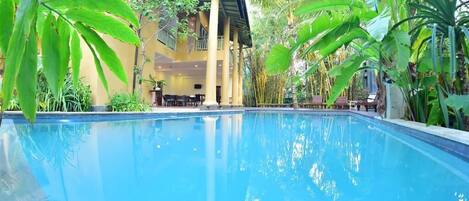 Outdoor pool, pool loungers