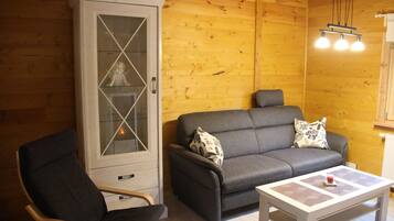 Télévision, cheminée, lecteur de DVD, chaßne hi-fi