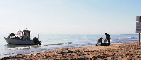 Plage, chaises longues