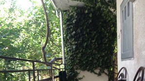 A balcony with a table and chairs, surrounded by greenery. - Cozy apartment Nena in Medulin (Medulin)