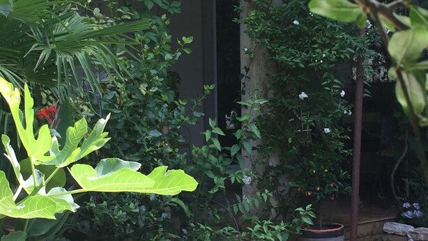 A garden with various plants and flowers, a stone wall, and a wooden structure. - Comfortable Nena Apartment with Nice View (Medulin)