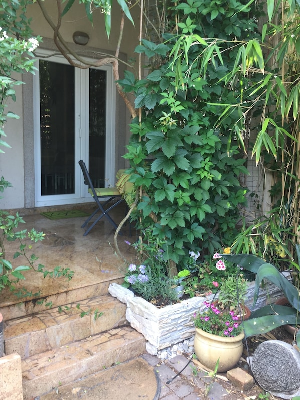 A garden area with a stone pathway leading to a door, surrounded by lush greenery and potted plants.
