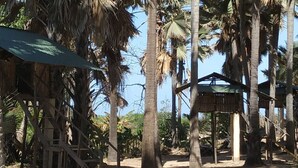 Ein rustikaler Außenbereich mit Holzbauten, darunter ein Kiosk und ein kleines Holzhaus, umgeben von hoch aufragenden Palmen.