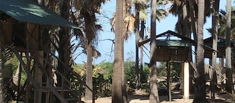 Unspoiled South Gambian Paradise '' Treehouse ''
