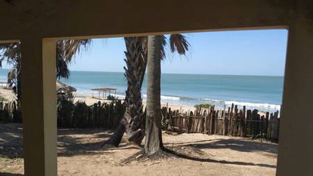 Blick auf einen Strand mit Holzzaun, Palmen und einem Sandbereich.