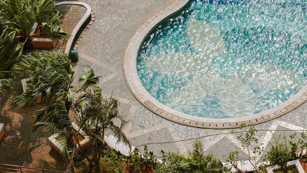 Una piscina circolare con bordo piastrellato, circondata da palme e un vialetto lastricato.