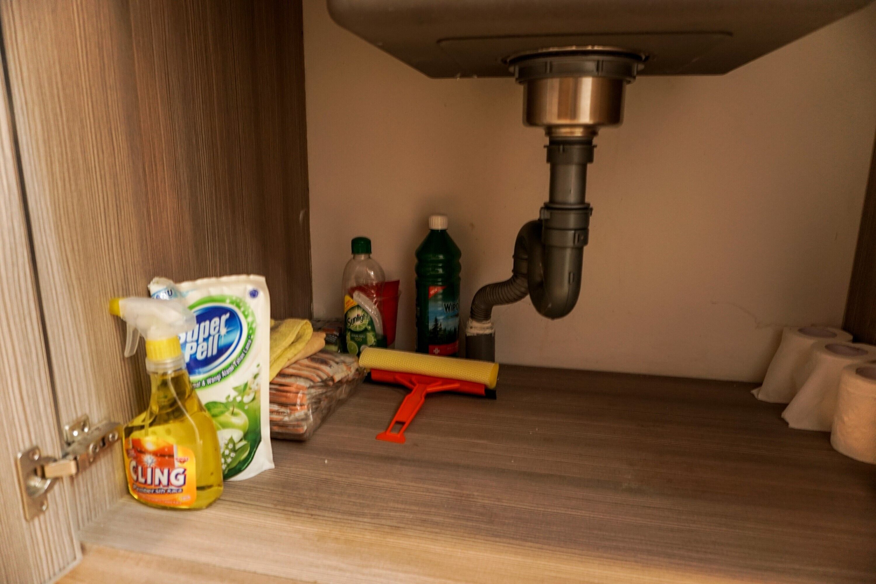 A kitchen sink with cleaning supplies and a red cleaning tool.