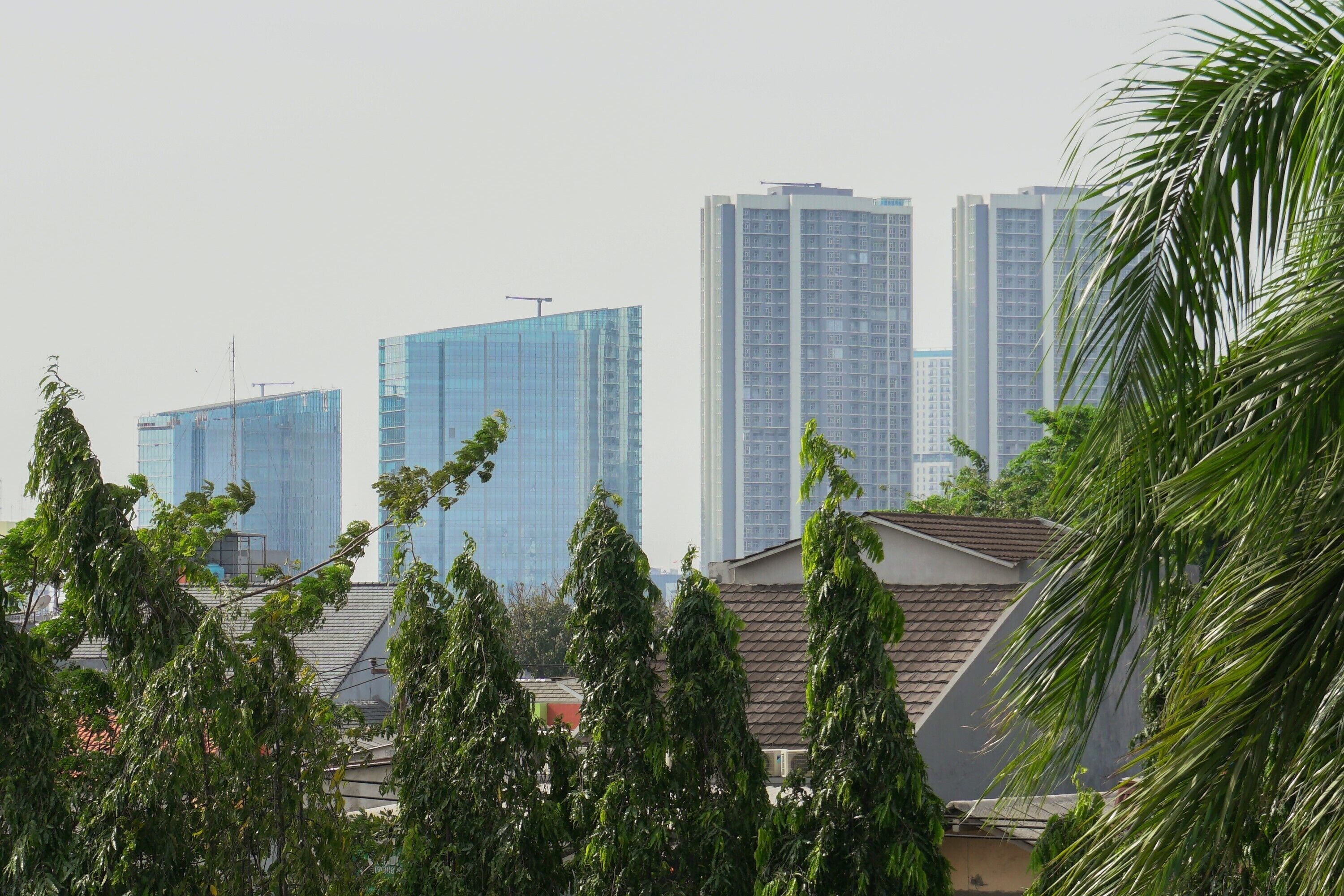 City view