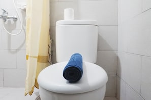 Chambre | Salle de bain | Douche, serviettes fournies