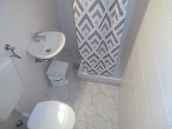 Baño con lavamanos, inodoro y ducha.