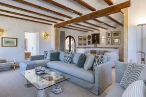 TV, fireplace, DVD player - Villa Pakatoa (Javea / Xàbia)