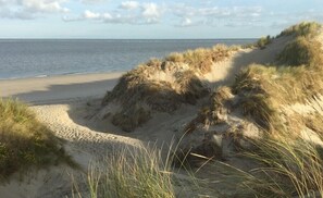 Nära stranden