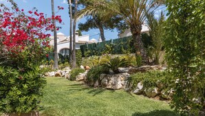 Ein gepflegter Garten mit verschiedenen Pflanzen, darunter eine Palme und ein Heckenstreifen.