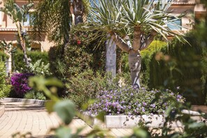 Stroll through this serene garden, surrounded by lush plants and a majestic palm tree.