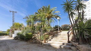Un escalier extérieur en pierre menant à un bâtiment, entouré de palmiers et d’autres plantes vertes.
