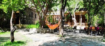 Nubra Organic Retreat - Hunder - Campsite