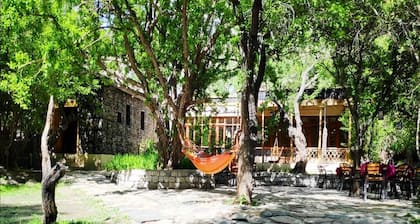Nubra Organic Retreat - Hunder - Campsite