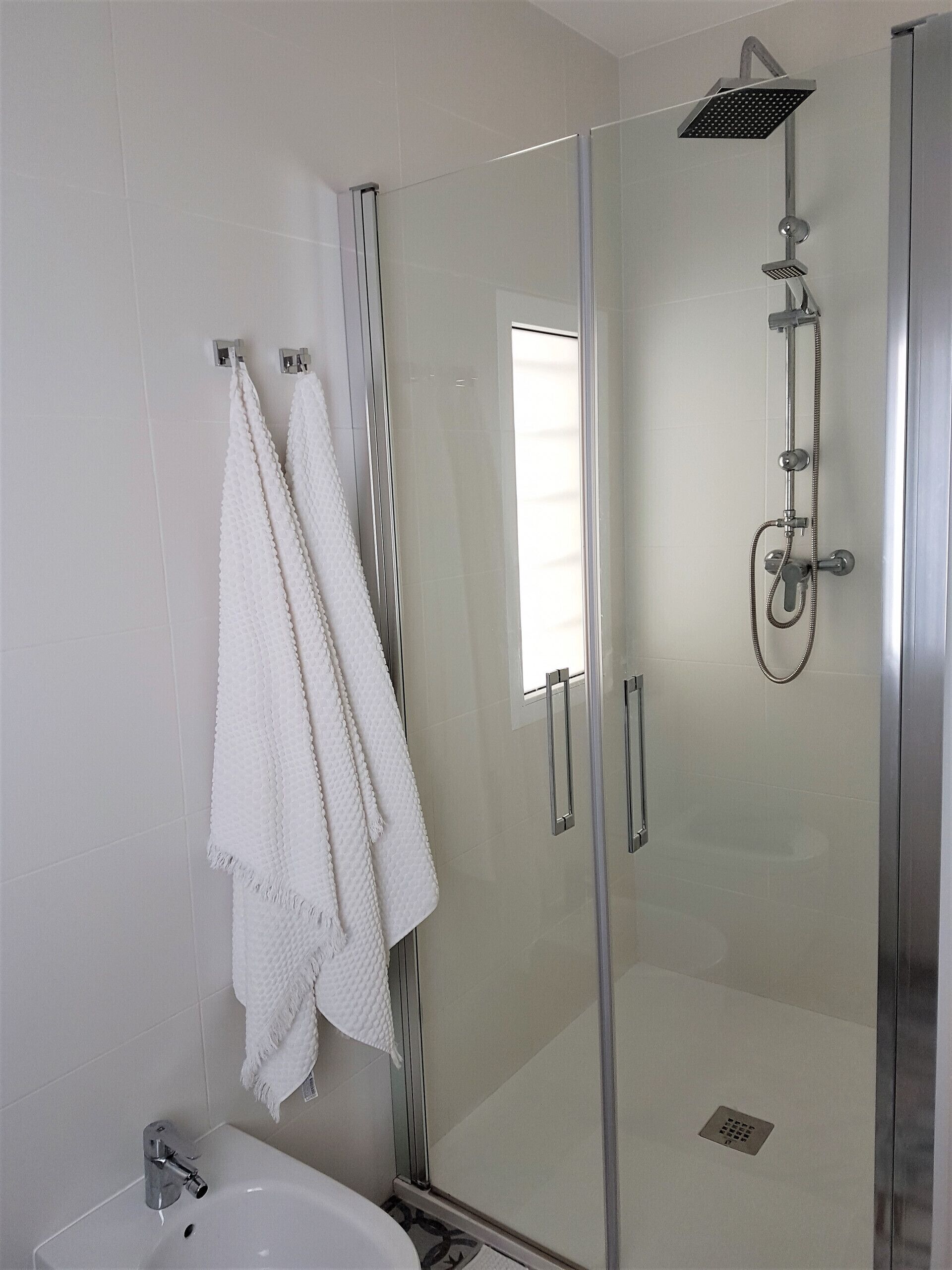 Shower, hair dryer, bidet, towels