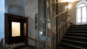 Uma escadaria com corrimão de metal, uma porta de madeira com painel de luz e um vaso de planta.
