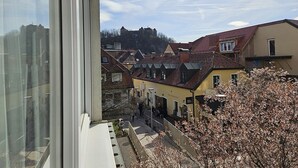 Vista dalla finestra su una strada con edifici tradizionali e un castello sullo sfondo.