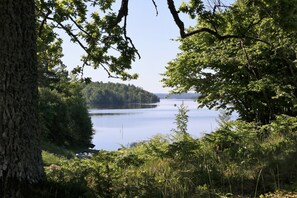 A serene lakeside view with dense greenery and trees framing the scene. - Liljeholmen Herrgård (Rimforsa)