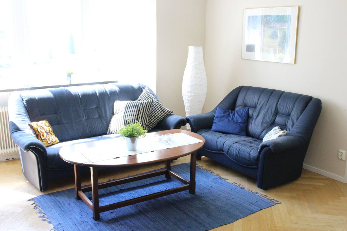 A living room with a blue sofa, a wooden coffee table, and a blue rug.