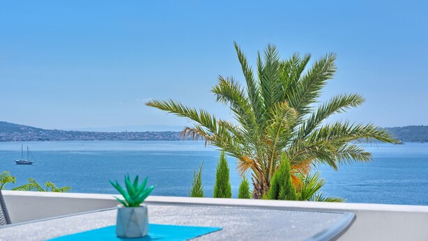A terrace with a view of the sea, a small palm tree, and a chair with a blue cushion. - Apartment Lozovina - Panoramic Sea View (Seget)