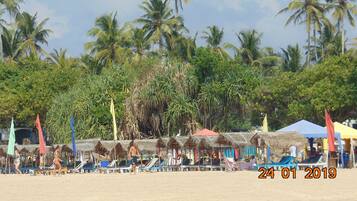 在海灘附近、躺椅