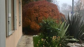 A narrow pathway leading to a building with shutters, surrounded by autumn foliage and a rock garden. - B&B Elio's Place (Seveso)