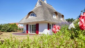 A house with a thatched roof, red shutters, and a circular driveway.