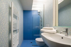 Shower, hair dryer, bidet, towels