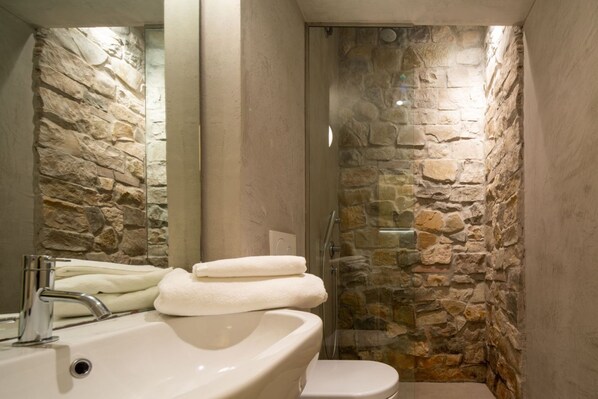 Shower, hair dryer, bidet, towels