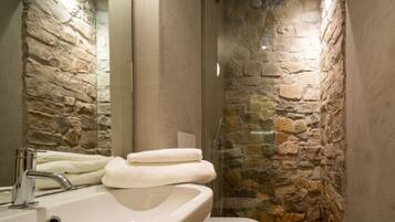Shower, hair dryer, bidet, towels