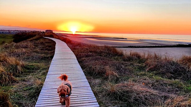 A wooden boardwalk leading to a beach with a sunset in the background. - Vale View Cottages - The Stables Cottage 5 Star. Near beach & town, Pets welcome (Prestatyn)