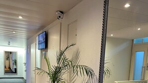 A hallway with a large mirror, a potted plant, and a television on the wall.