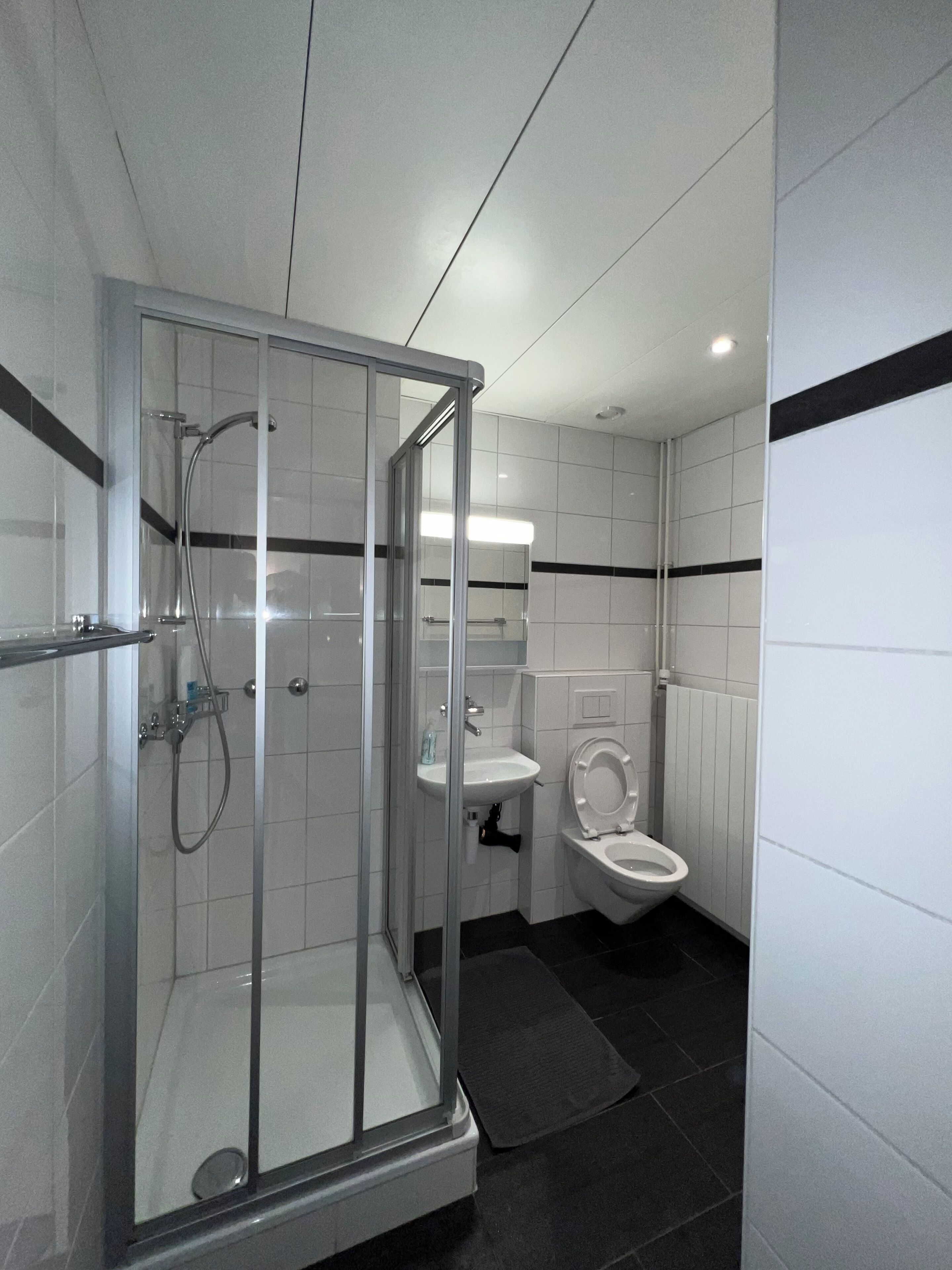 Un baño moderno con ducha envuelta en vidrio, un lavamanos blanco y un inodoro.