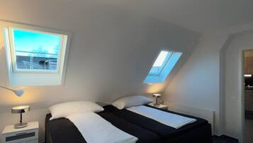 A bedroom with two beds, a skylight, and a nightstand with a lamp.