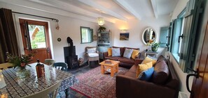 Smart TV, fireplace, DVD player, books