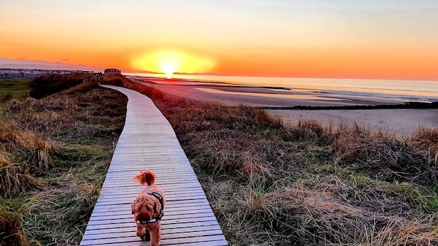 Un paseo marítimo de madera que conduce a una playa con un atardecer de fondo.