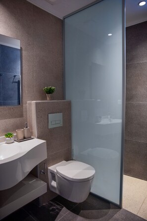 Shower, hair dryer, bathrobes, slippers
