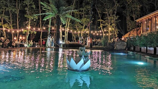 Zona de piscina exterior de noche con luces colgantes, palmeras y una fuente con forma de loto.