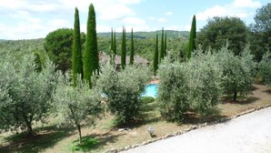 A rural landscape with olive trees, a stone wall, and a building with a blue roof.