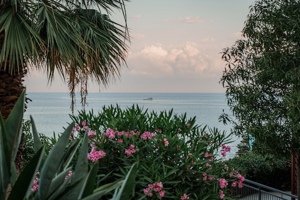 Vista al agua