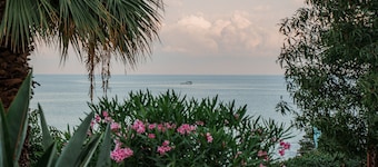 Hotel Villa Levi