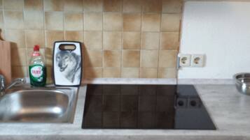 Apartment, 2 Bedrooms (Souterrain) | Private kitchen | Full-sized fridge, microwave, oven, stovetop