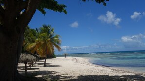 A beach with palm trees, a thatched hut, and clear blue water. - Magnifique appartement vue mer 180° - Hauteur anse Des Rochers - Avec Cuve Eau (Saint-François)