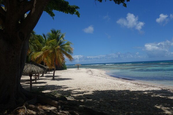 Plage, chaises longues