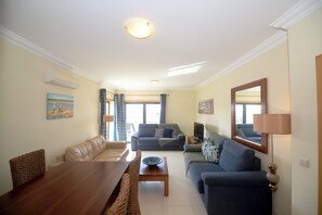 TV, DVD player, video library, stereo