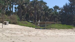 Ein sandiger Strand mit Palmen und einer kleinen Bausubstanz.