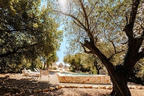 Pool - Authentic Trulli with Private Pool, Sleeps 7 in Monopoli Countryside. Pet Friendly (Monopoli)